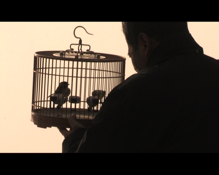 00-Beihei-Homme-cage