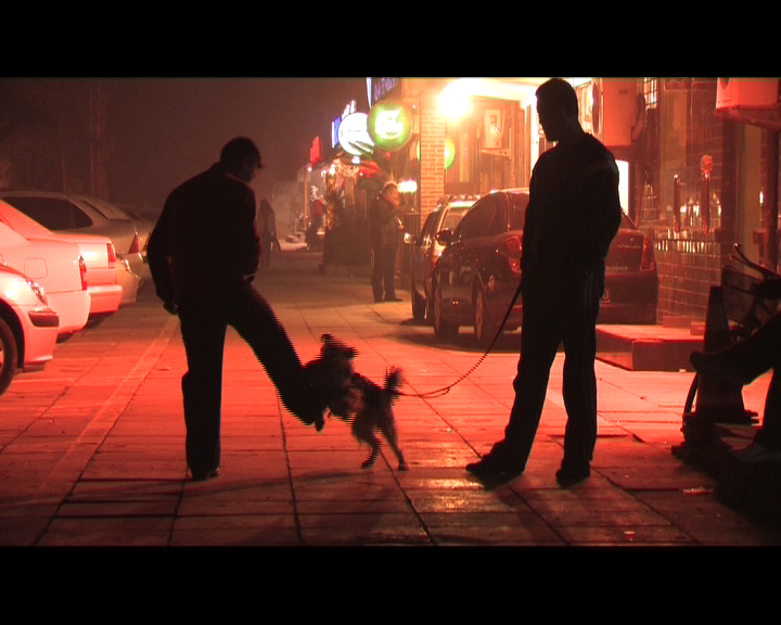 Chien-laisse2-de-K76-3